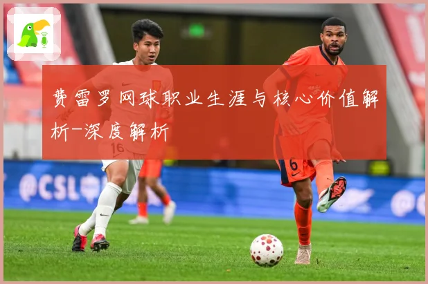 费雷罗网球职业生涯与核心价值解析-深度解析