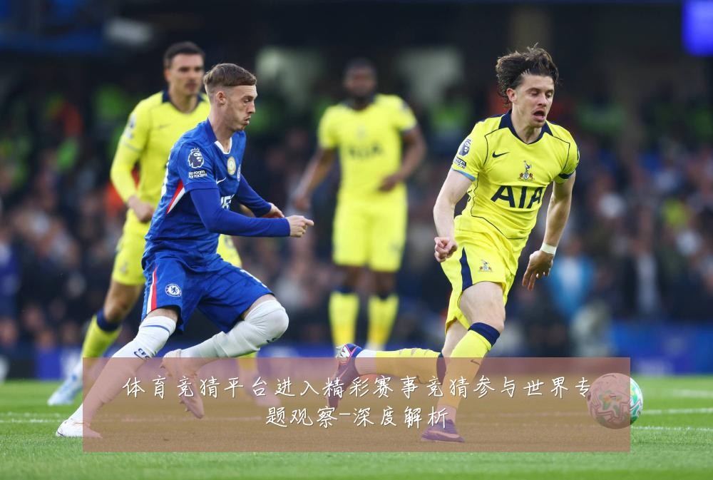 体育竞猜平台进入精彩赛事竞猜参与世界专题观察-深度解析