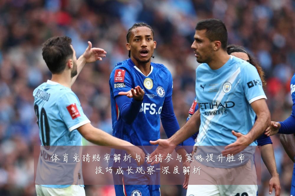 体育竞猜赔率解析与竞猜参与策略提升胜率技巧成长观察-深度解析